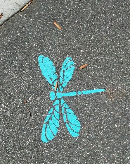 dragonfly on road.jpg