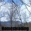 homesteading120x120.png