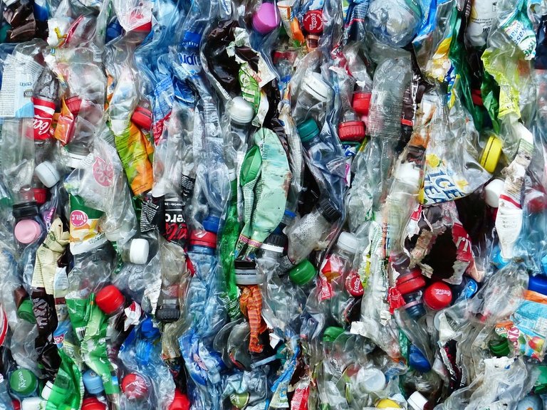 plasticbottlesbottlesrecycling736da01024.jpg