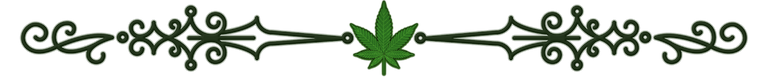 CS_GREEN_CANNACURATE_DIVIDER_TRANSPARENT1.png