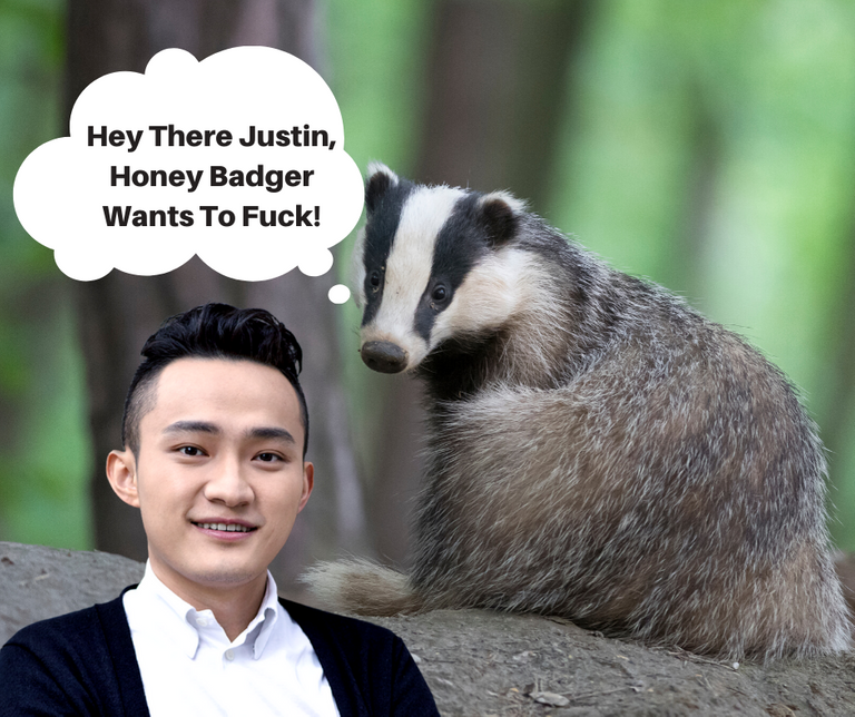 Hey There Justin, Honey Badger Wants To Fuck!.png