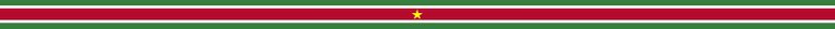 Suriname Banner.jpg