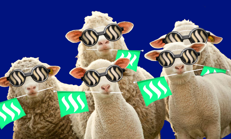 bernie sheep 02 .png