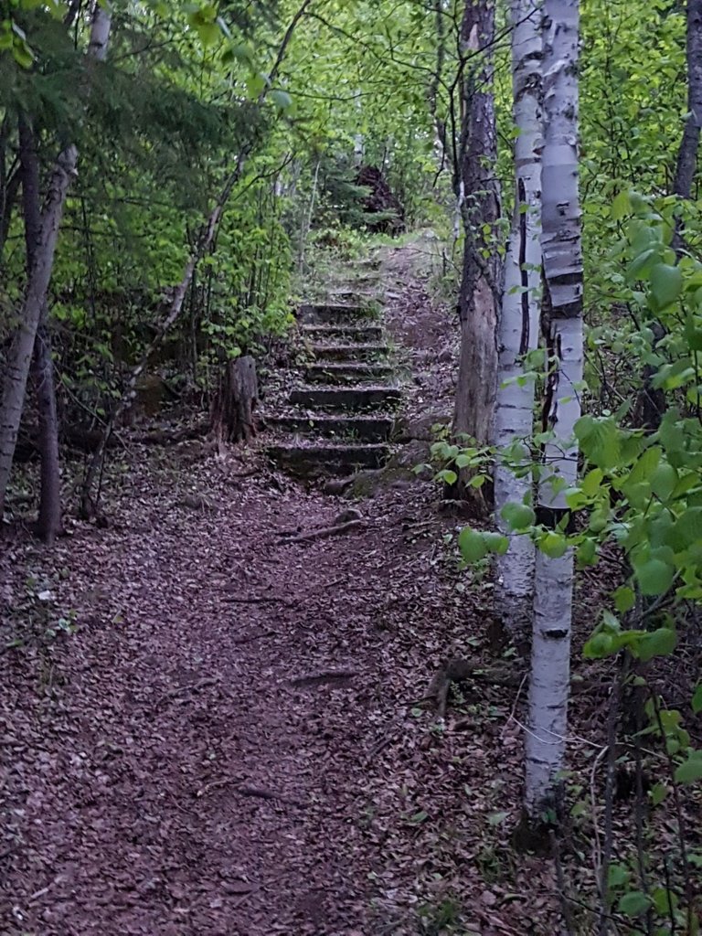 Stairway_To_Woodlands.jpg