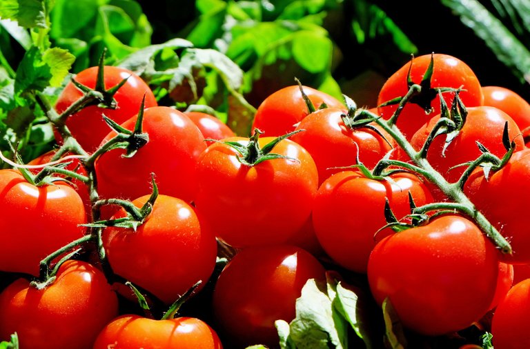 tomatoes1280859.jpg