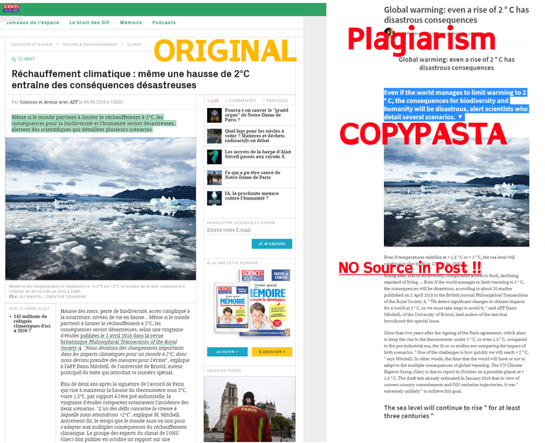 Plagiarism3.png