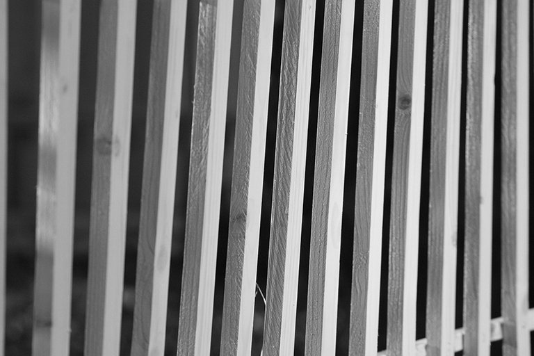 Yellow_Wooden_Fence_Closeup_01_s_BW.jpg