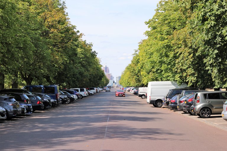 tree lined car park.jpg