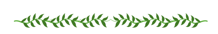 leafdivider.png