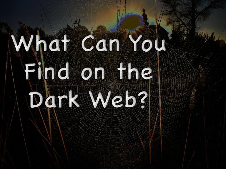 What Can You Find on the Dark Web?