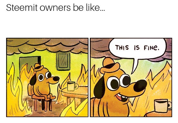 This is fine 15032020223214.jpg