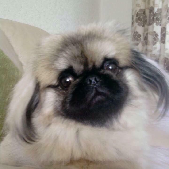 IMG20190830WA0051.jpg