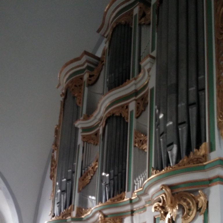 Amalien organ.jpg