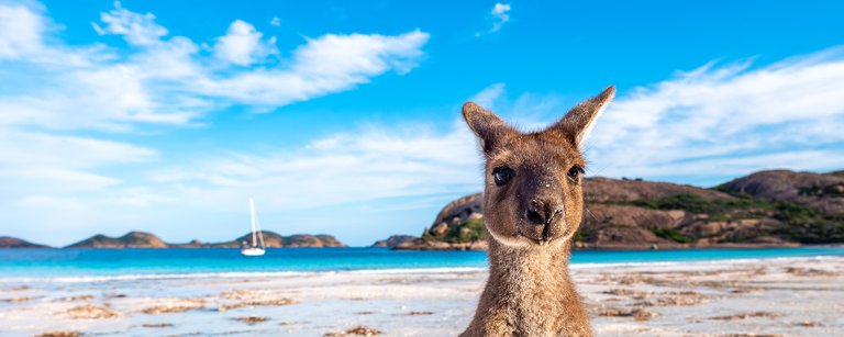 Mate, welcome to Lucky Bay