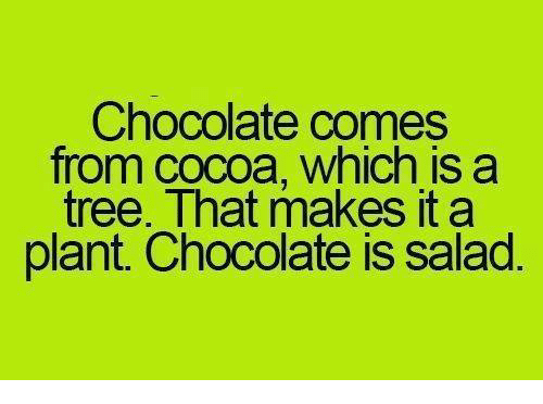 chocolatecomesfromcocoawhichisatreethatmakes11390393.png