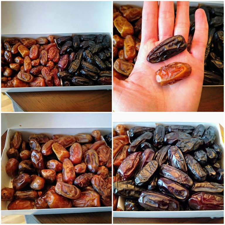 Dates Collage.jpg