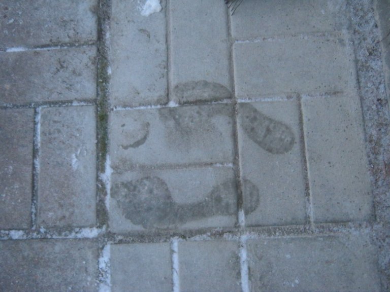 footprints in the frosted cement.JPG