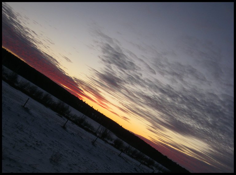 sunrise over dark field and pond surrounded vy tree silloquettes horizontal view.JPG