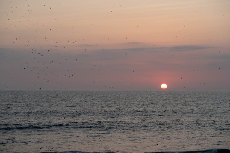 IMG_5718.jpg