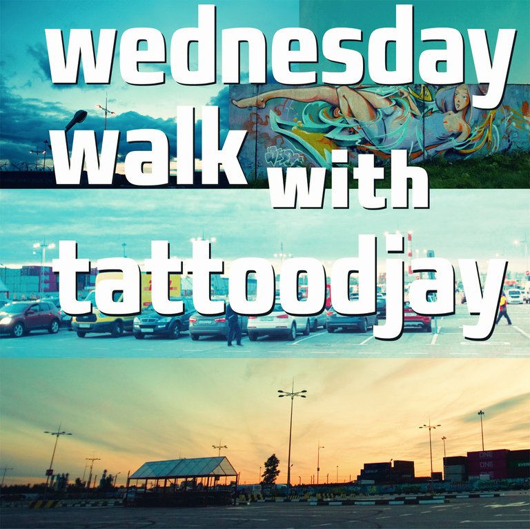 wedwalk2.jpg