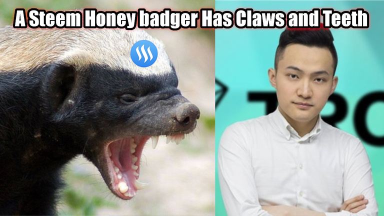 TitleSteemHoneyBadger.png