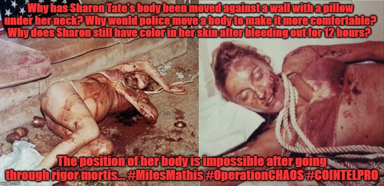 Sharon Tate Miles Mathis 1.jpg