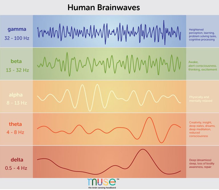 brainwaveschart51.jpg