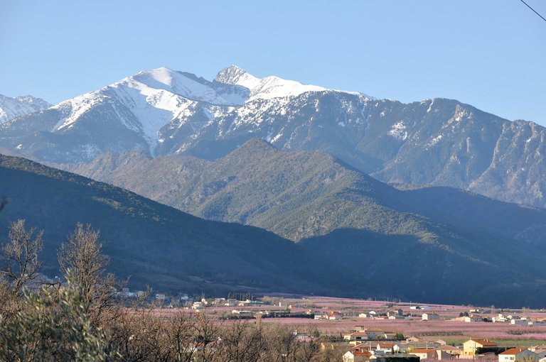 Le_Canigou.jpg