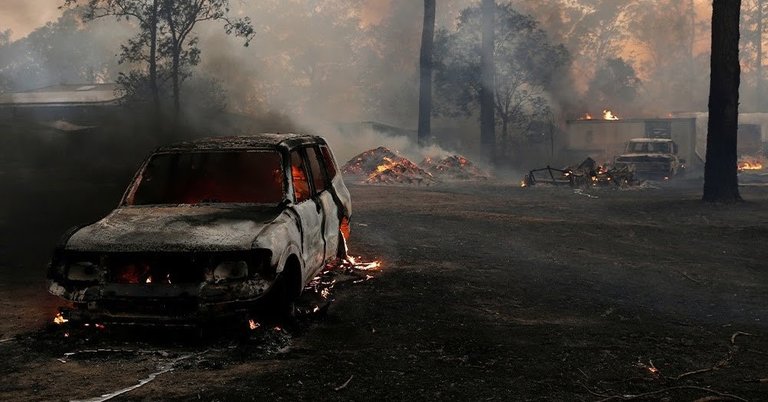 Wildfires in New South Wales Australia .jpg