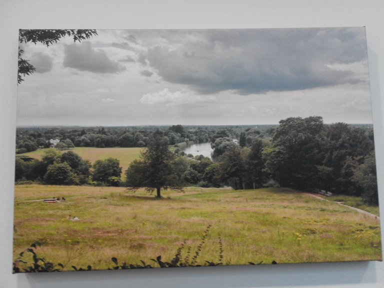 Marshall Pinsent - The Thames from Richmond Hill.jpg