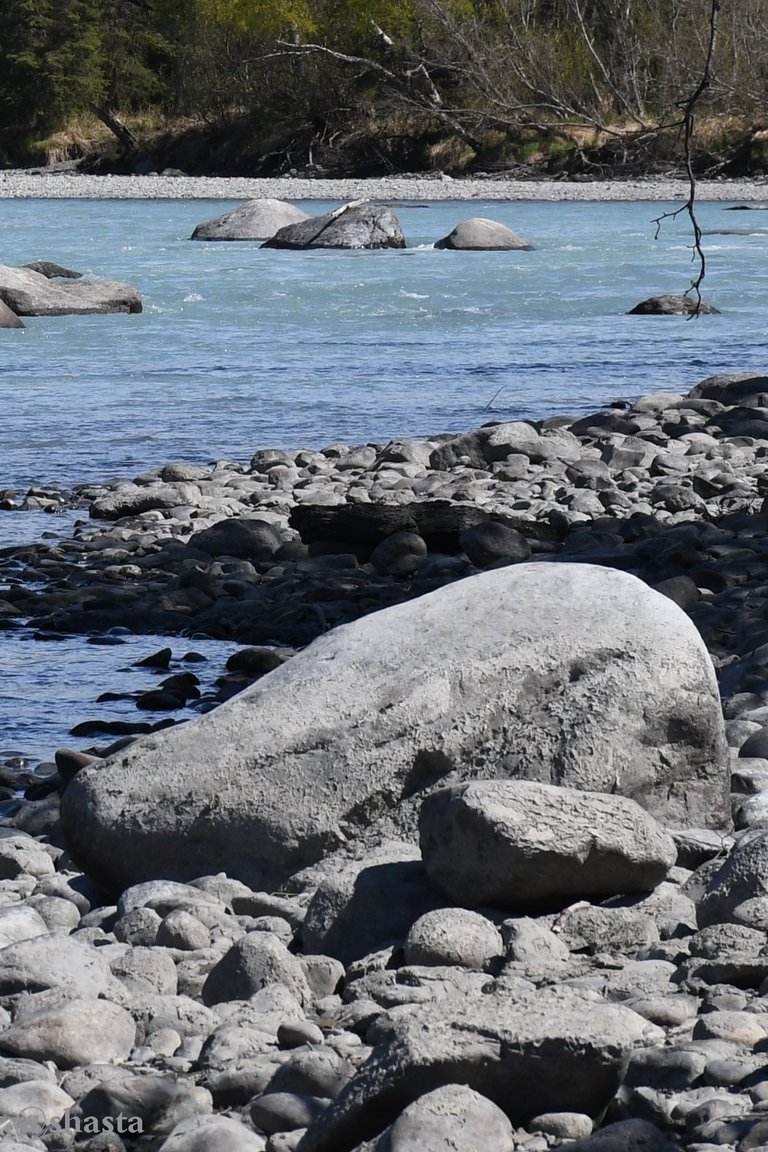 shasta2020jan18th47boulders2io.jpg