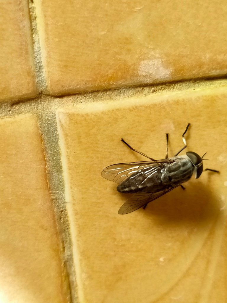 IMG20190927143558.jpg