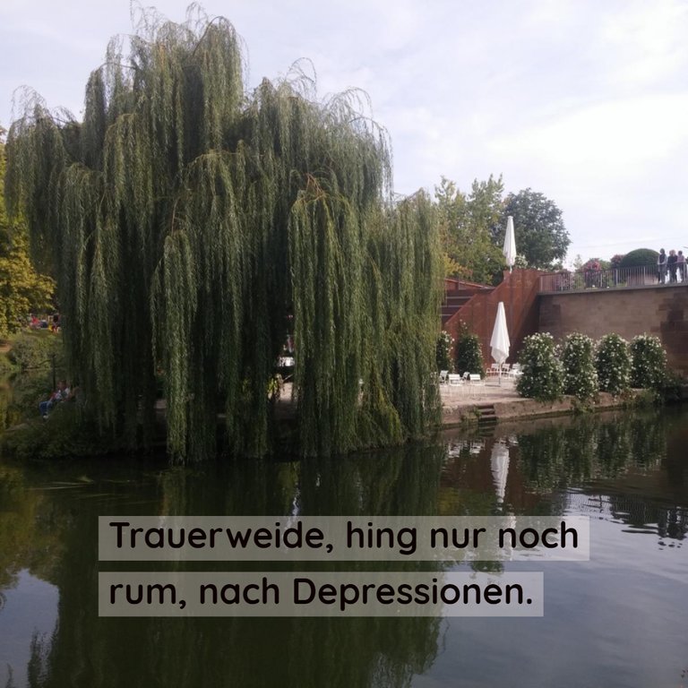 Buga Trauerweide nach Depressionen.jpg