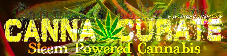 cannacuratebanner1.jpg