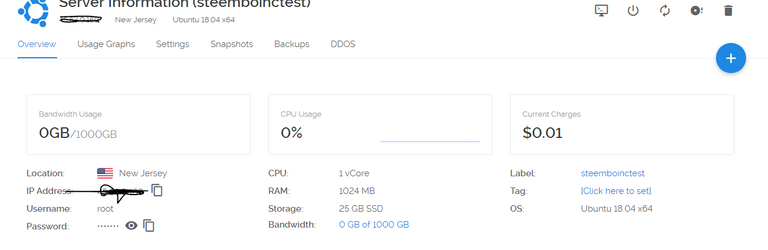 vultr server over view.PNG