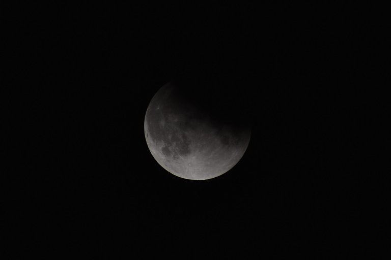 DSC_0084.JPG