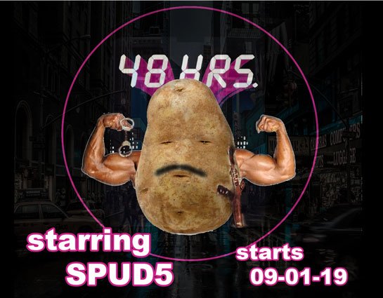 48hrSpud.jpg