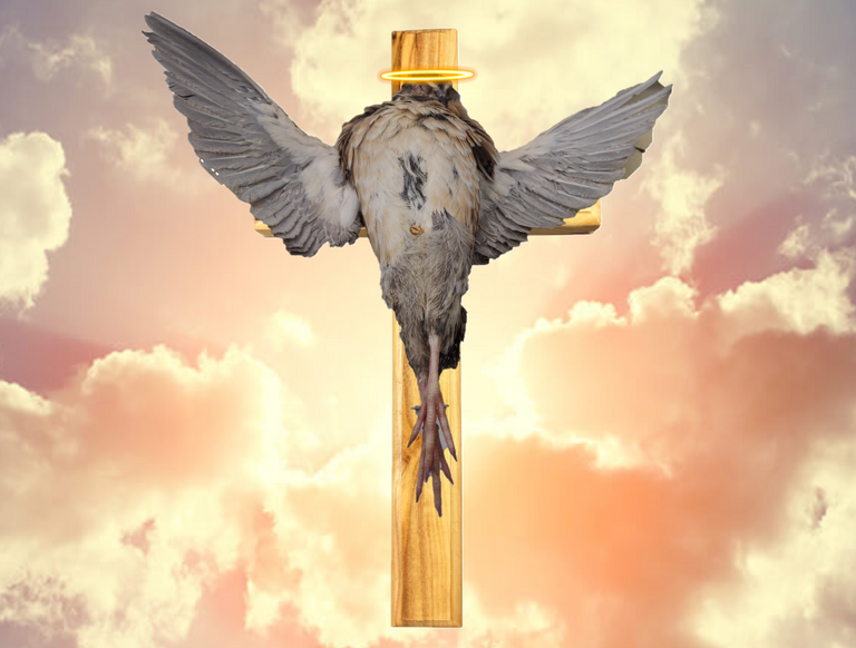 Bird Jesus.png