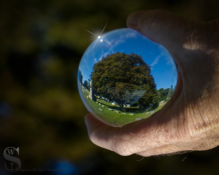 1 Crystal Ball Tree Tuesday4.jpg