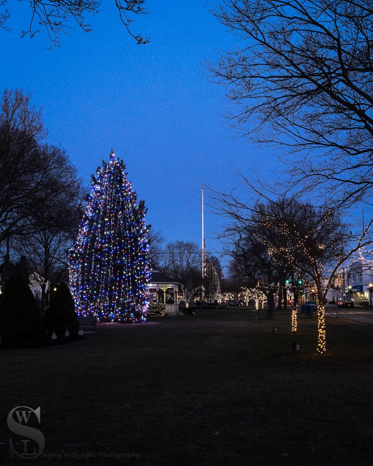 1 1 Trees on the green7.jpg