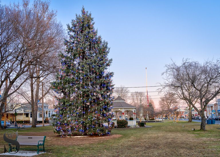 1 1 Trees on the green.jpg