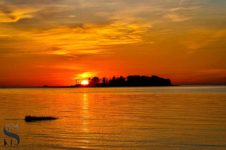1 1 Sunrise behind Charles Island.jpg