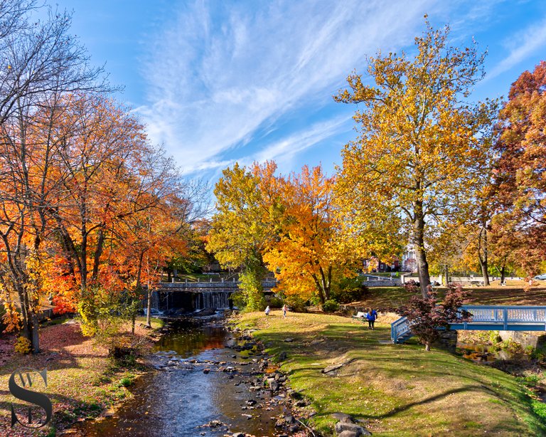 1 1 fall color Duck Pond.jpg