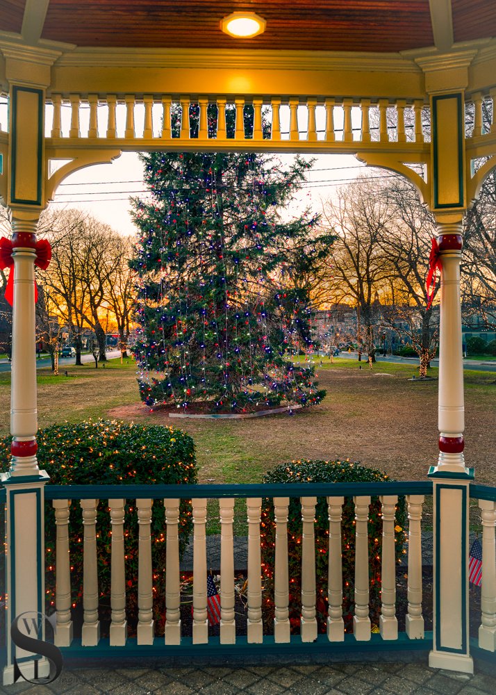 1 1 Trees on the green3.jpg