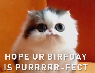 Birfdaypurrfect.jpg