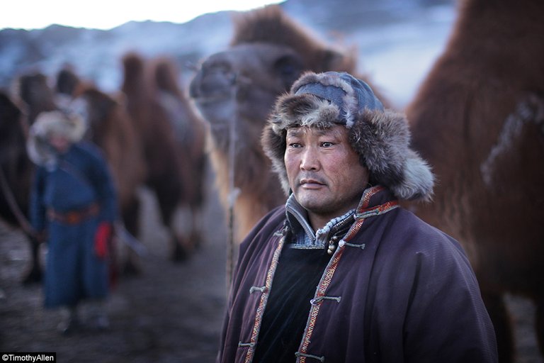 Mongolia_Camels_Timothy Allen_005.jpg