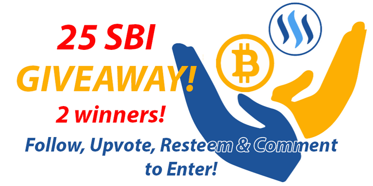 sbigiveaway.png