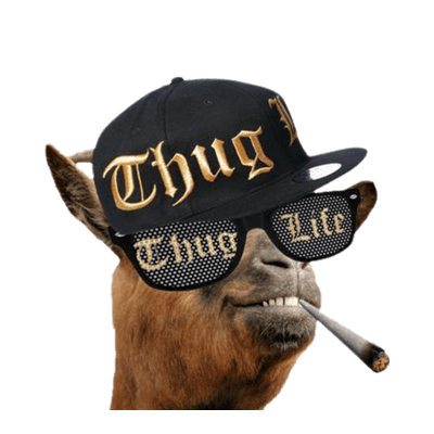 thuglife.png