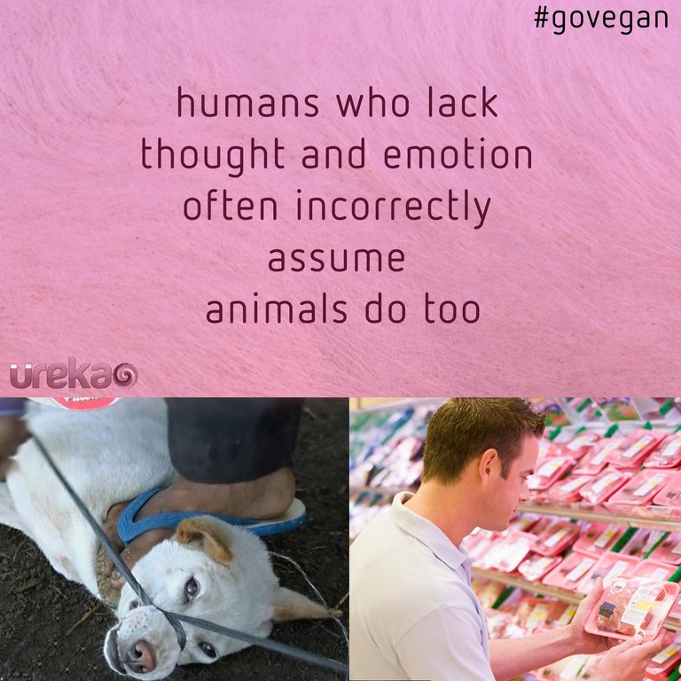 go vegan