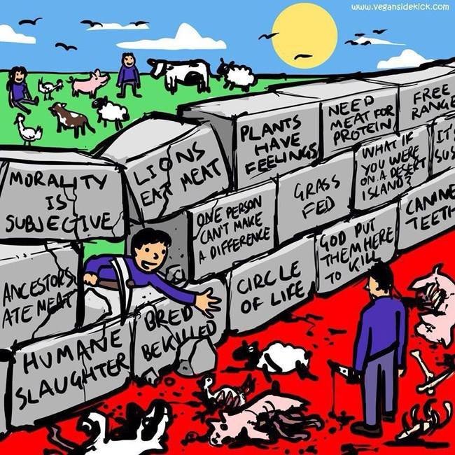 vegan wall